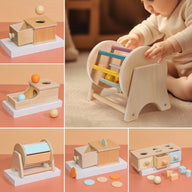 Montessori Wooden Cognitive and Sensory Toy